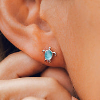 Sea Turtle Stud Earrings Gallery Thumbnail