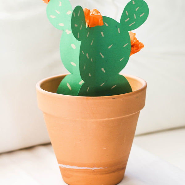 Paper Cactus