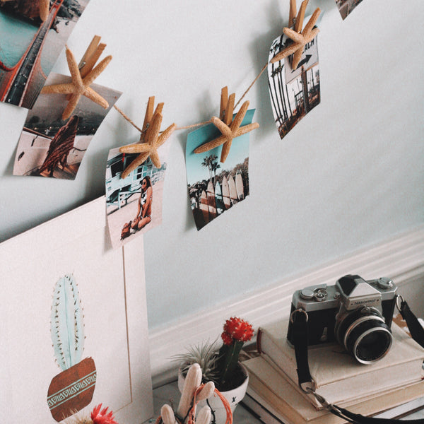 Starfish Photo Display