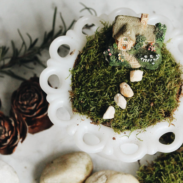 Fairy Garden