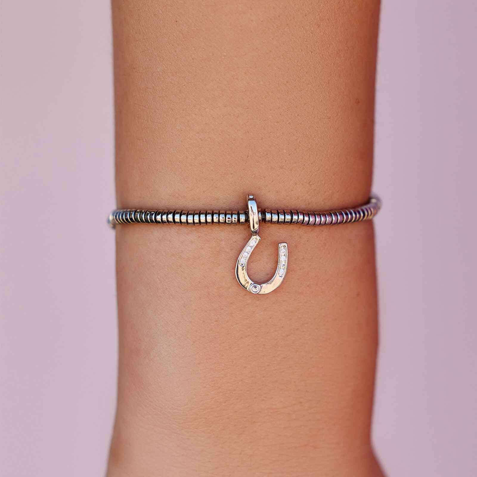 Horseshoe on sale charm bracelet