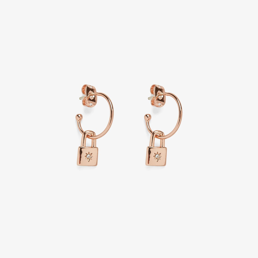 Louis Vuitton Hoops Earrings -  New Zealand