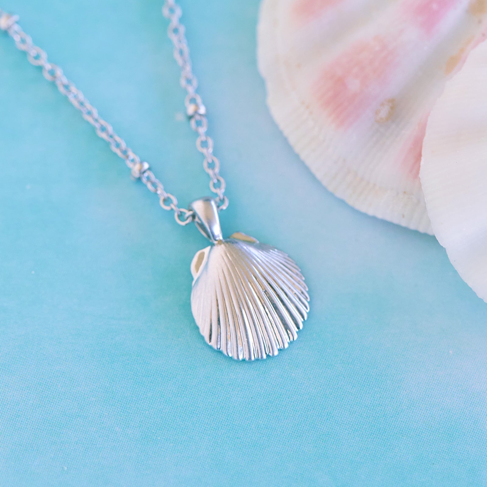 Silver Atlantic Cockle Shell Necklace - Wild Hare Gems